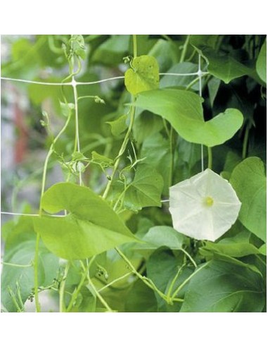 Αγόρασε Δίχτυα Αναρρίχησης απο την κατηγορία Δίχτυα Αναρρίχησης